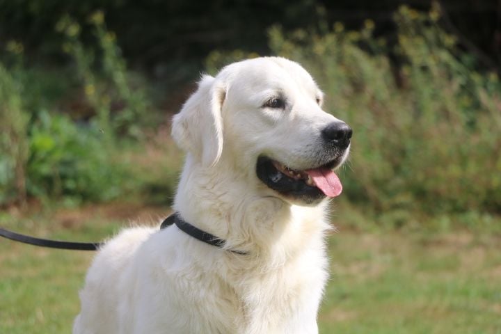 R'max du domaine du vignoble