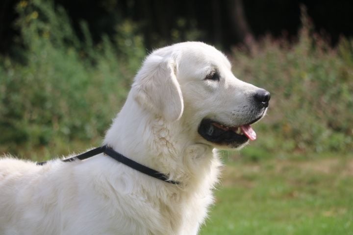 R'max du domaine du vignoble