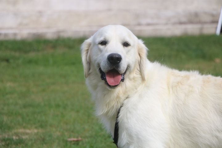 R'max du domaine du vignoble