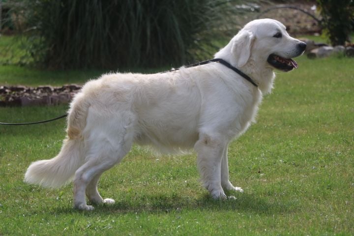 R'max du domaine du vignoble