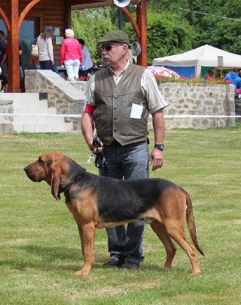 Publication : de la vallée de l'oeil Auteur : C. BOUTONNET