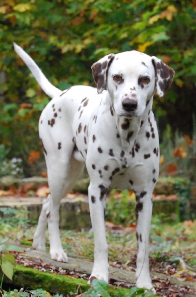 Publication : Maaike's Choice