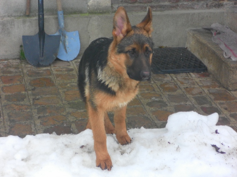 Publication : des Balcons de Louqsor Auteur : Lépine Franck Pierre