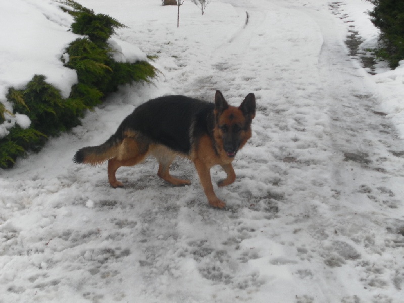 Publication : des Balcons de Louqsor Auteur : LEPINE PIERRE