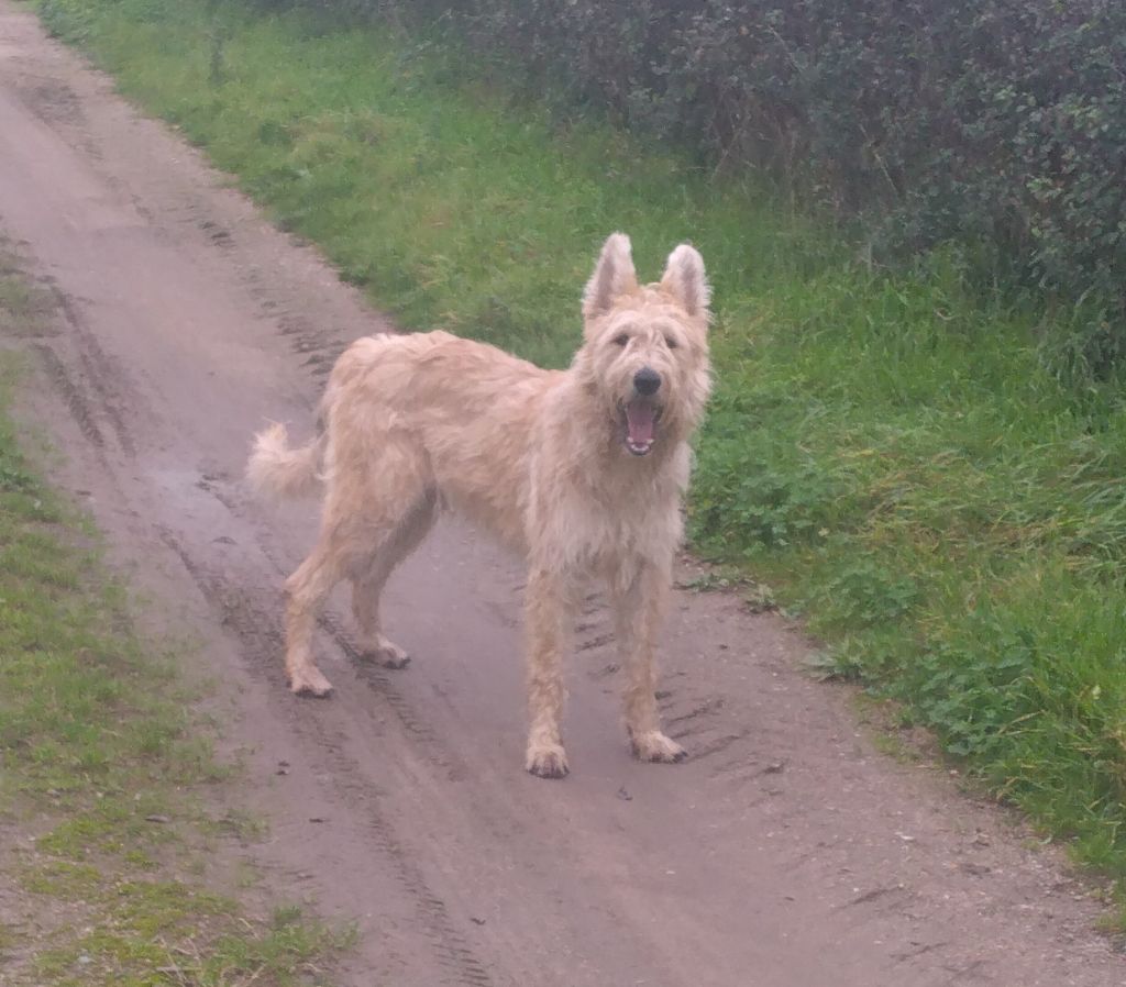 +vaya du domaine de sursaint