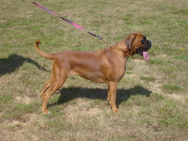 Enjy du faubourg des hirondelles - Très Bon