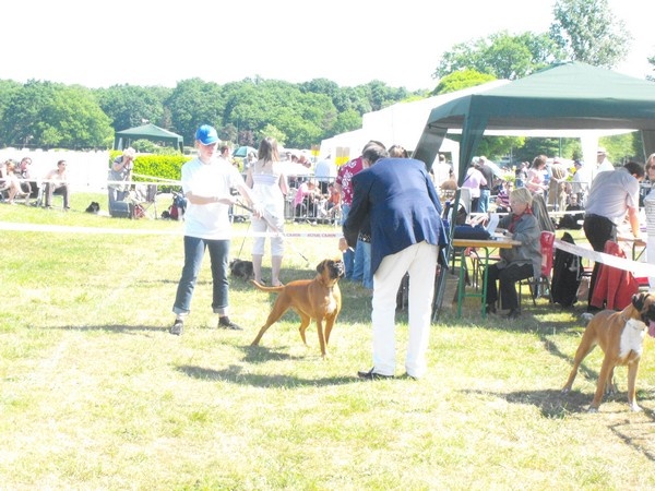 Enjy du faubourg des hirondelles - 2ème Très bon