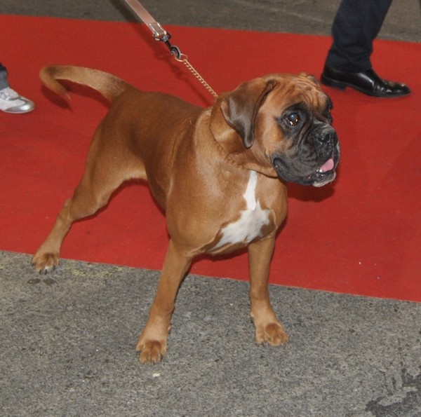 Enjy du faubourg des hirondelles - 2ème Excellent