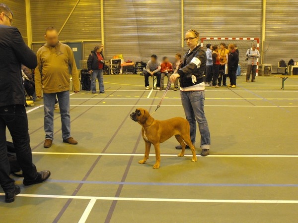 Enjy du faubourg des hirondelles - 3ème Très Prometteur