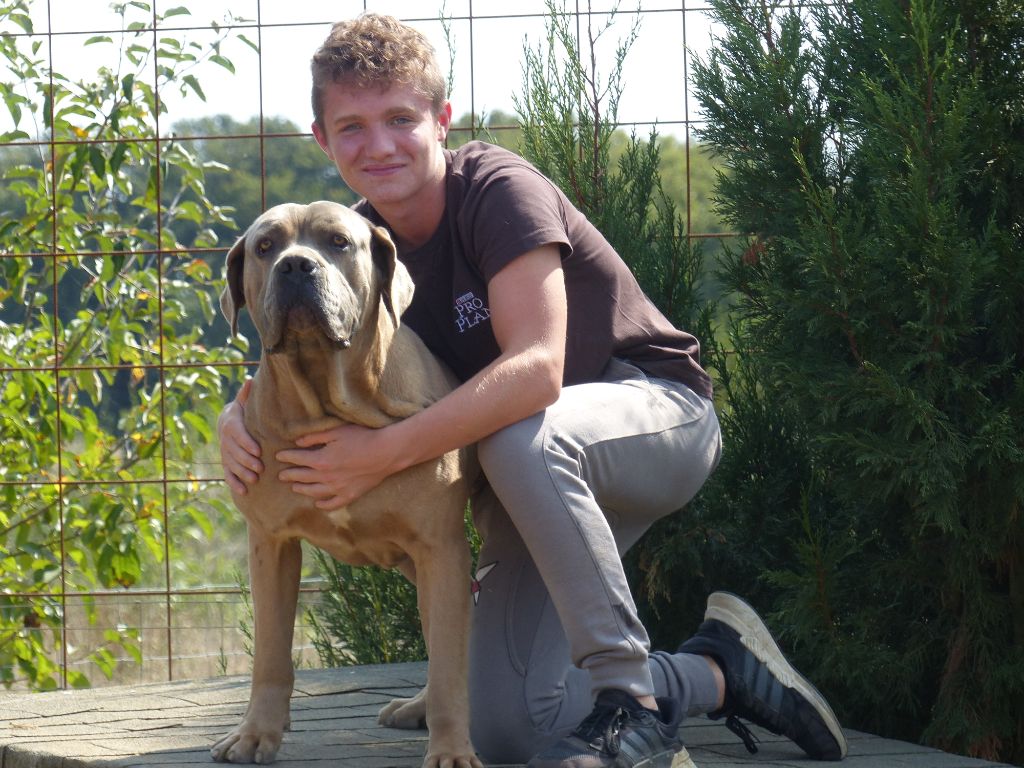 Publication : des Terres des Forges