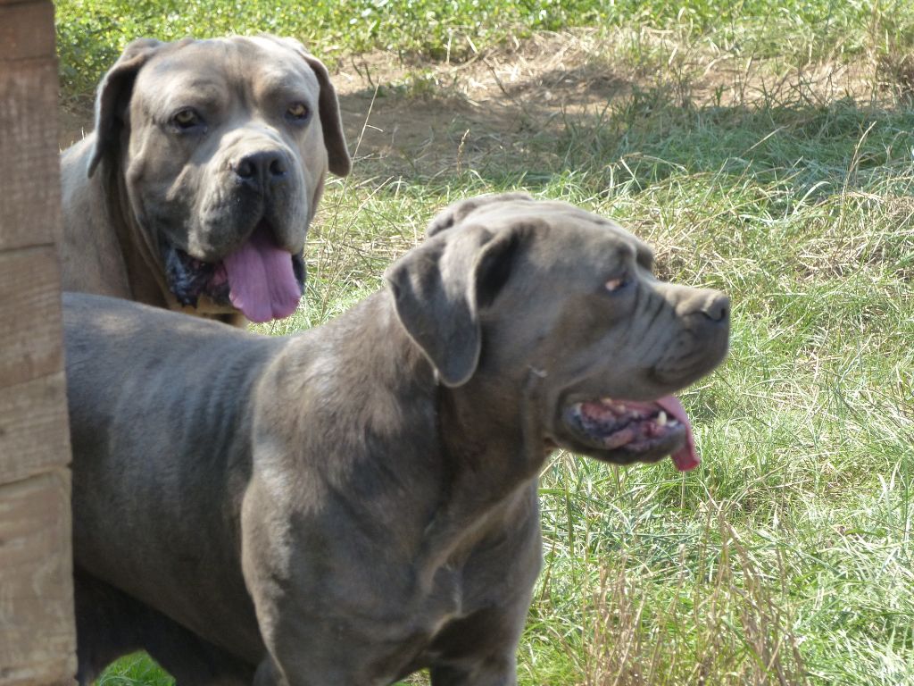 Publication : des Terres des Forges