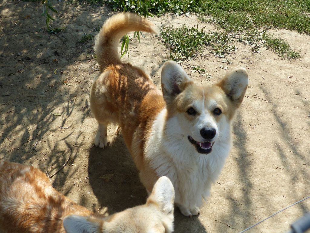 Publication : des Terres des Forges