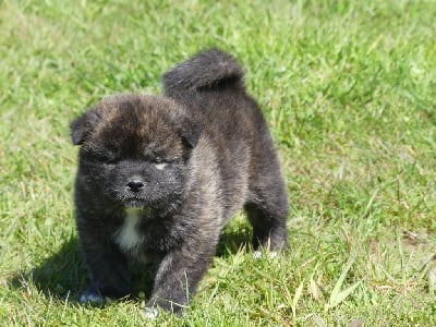 des Terres des Forges