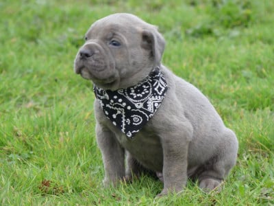 des Terres des Forges