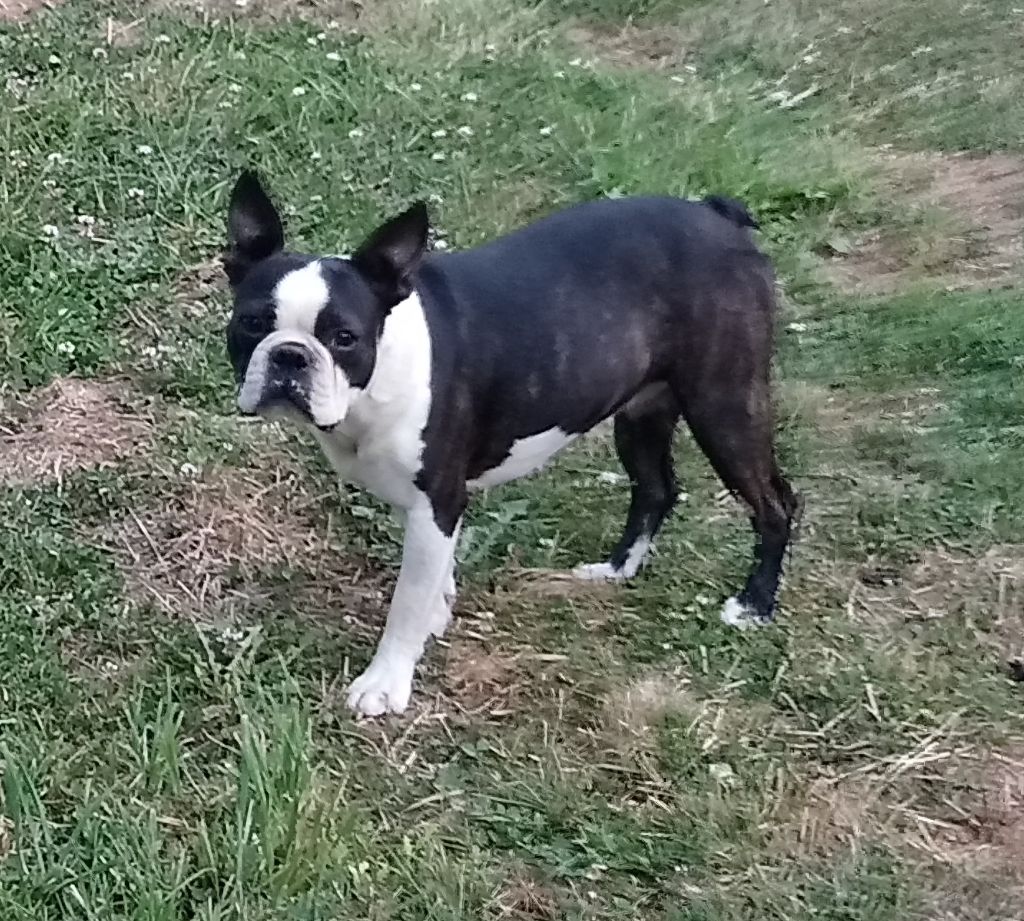 Publication : De La Grange Enchantée