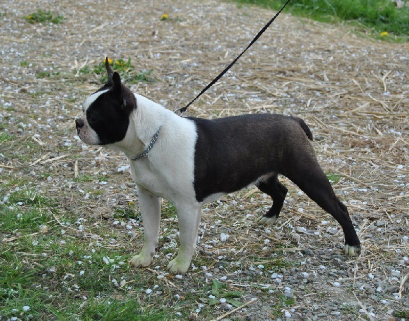 Publication : De La Grange Enchantée Auteur : Coralie LOUIT