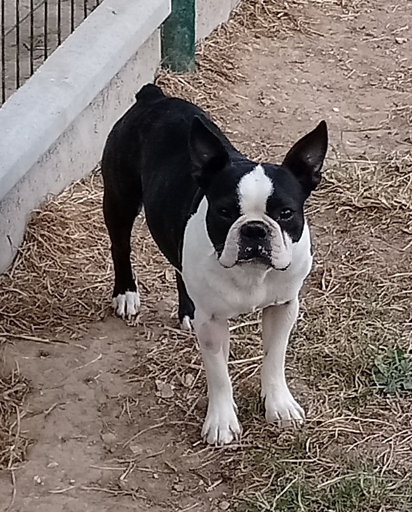 Publication : De La Grange Enchantée