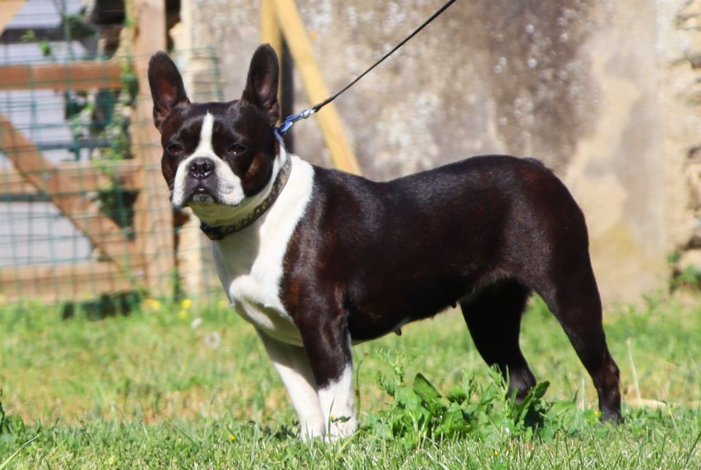 Publication : De La Grange Enchantée Auteur : Chez Valérie en Mayenne