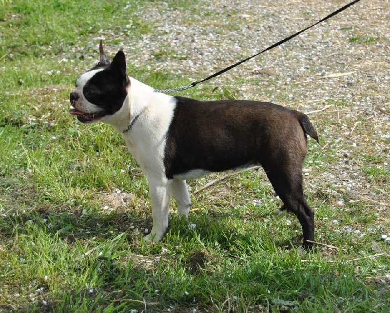 Publication : De La Grange Enchantée Auteur : Coralie LOUIT