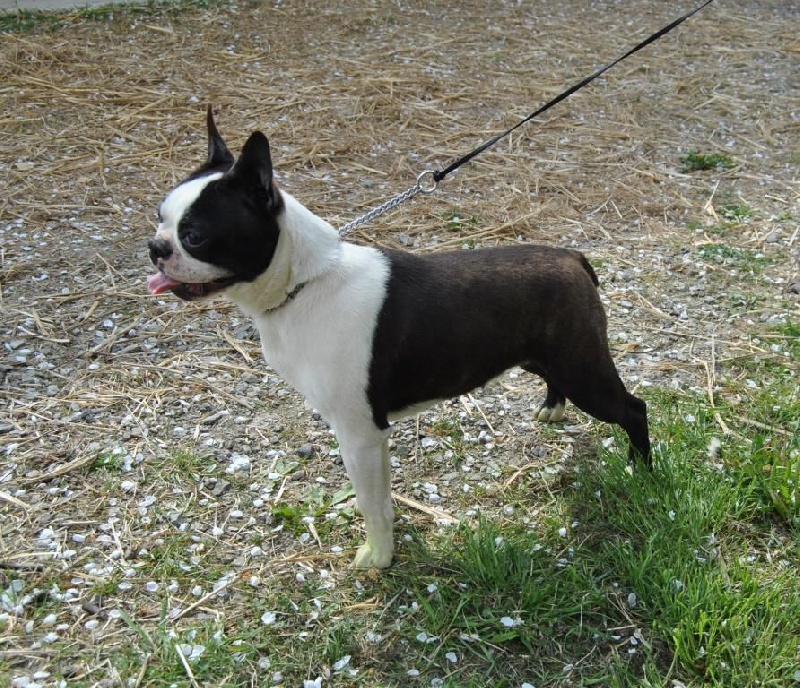 Publication : De La Grange Enchantée Auteur : Coralie LOUIT