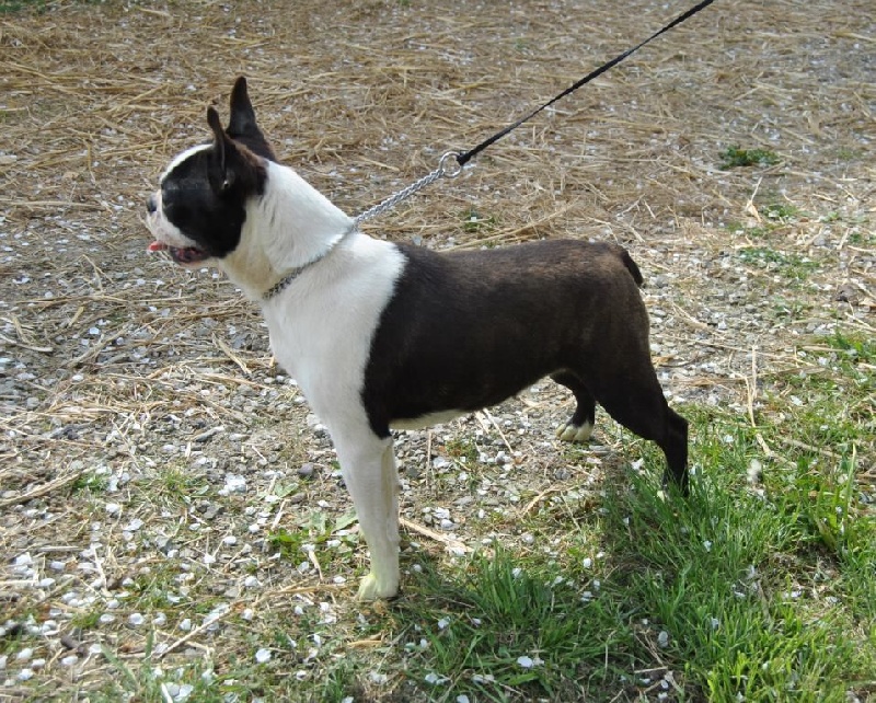 Publication : De La Grange Enchantée Auteur : Coralie LOUIT