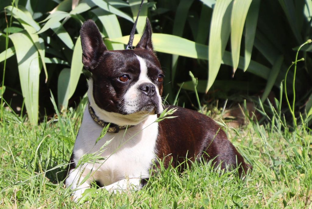 Publication : De La Grange Enchantée Auteur : Chez Valérie en Mayenne