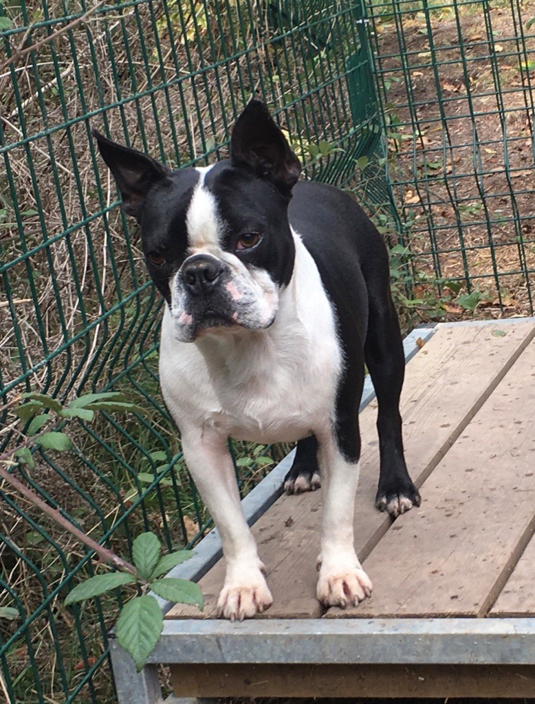 Publication : De La Grange Enchantée Auteur : Chez Valérie en Mayenne