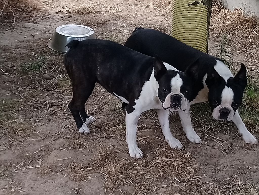 Publication : De La Grange Enchantée