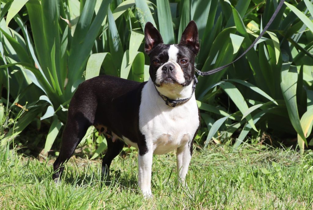 Publication : De La Grange Enchantée Auteur : Chez Valérie en Mayenne
