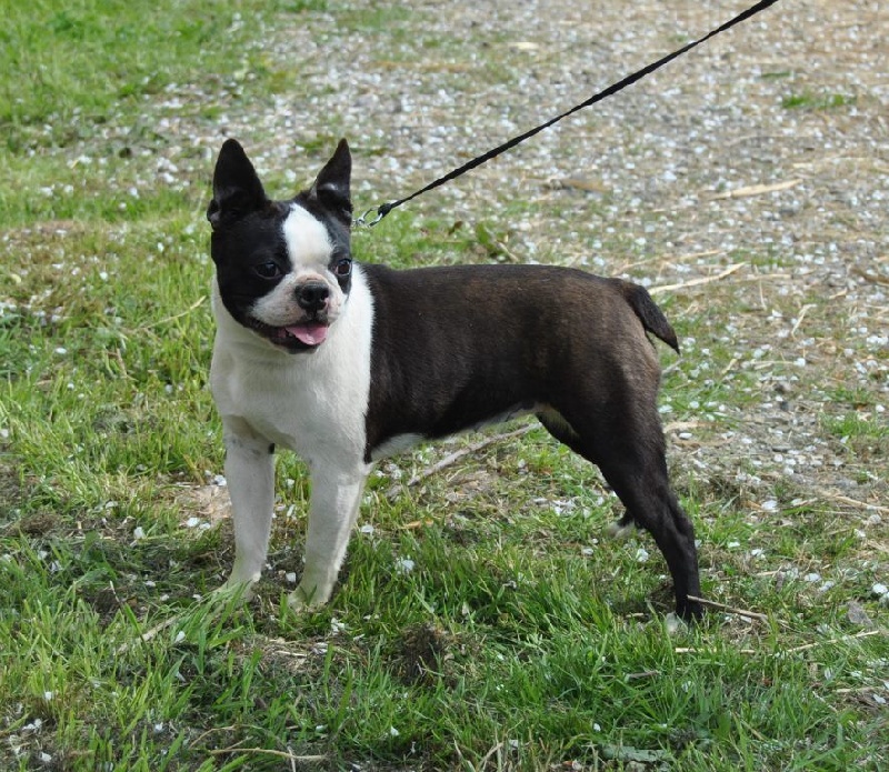 Publication : De La Grange Enchantée Auteur : Coralie LOUIT