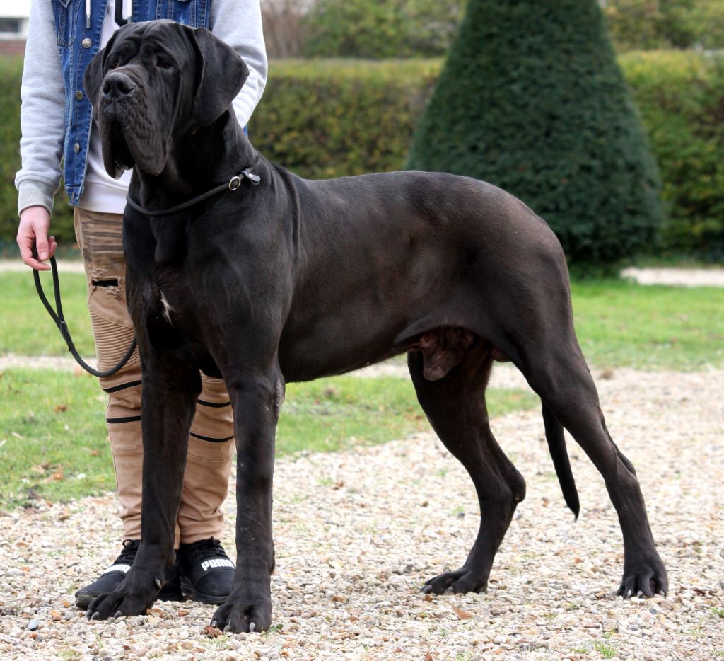 Publication : Des Iles Aux Falaises