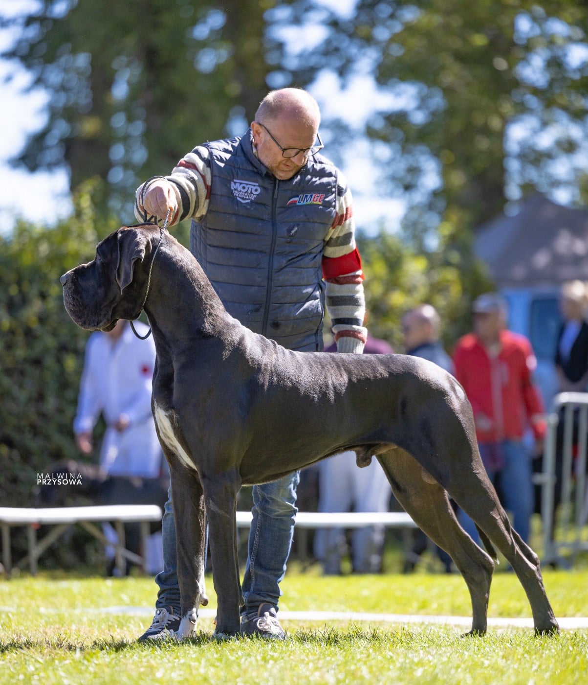 Publication : DE VALAVERGNY Auteur : Barbara Lebegue