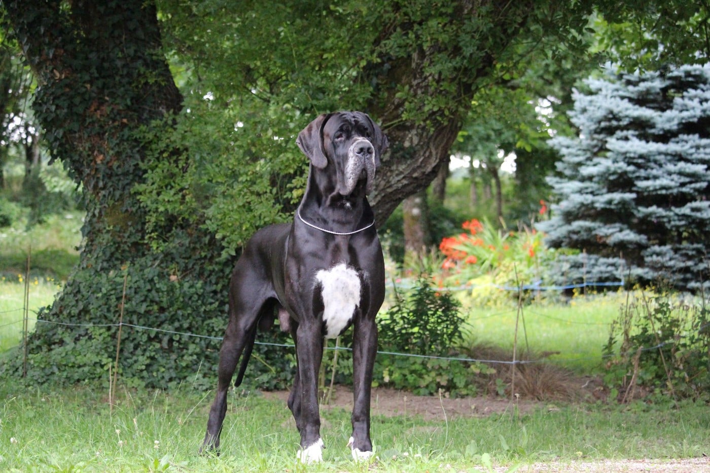 Publication : DE VALAVERGNY Auteur : Barbara Lebegue