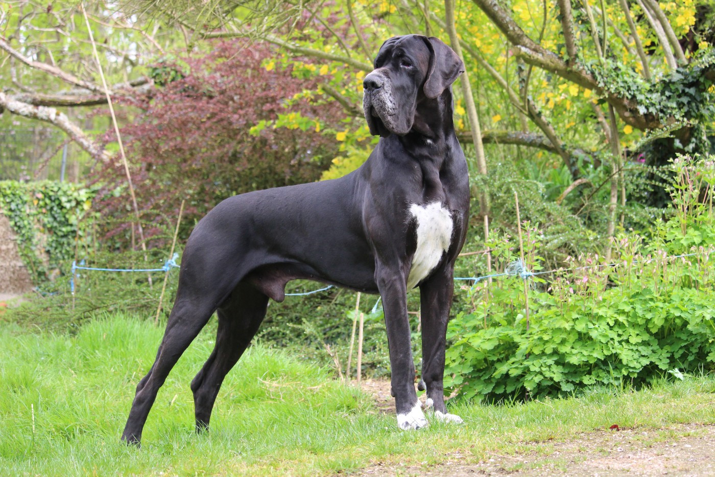 Publication : DE VALAVERGNY Auteur : Barbara Lebegue