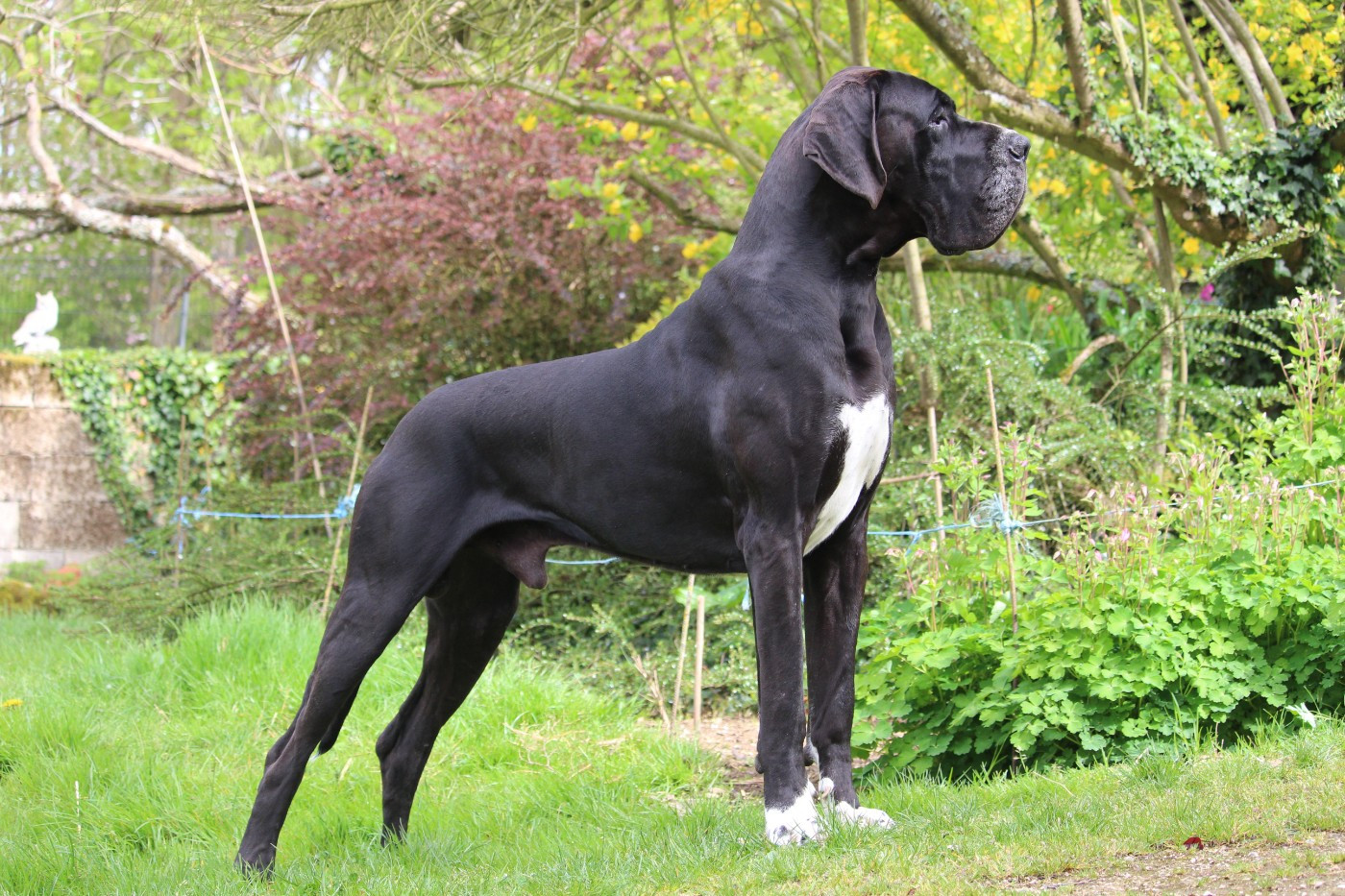 Publication : DE VALAVERGNY Auteur : Barbara Lebegue