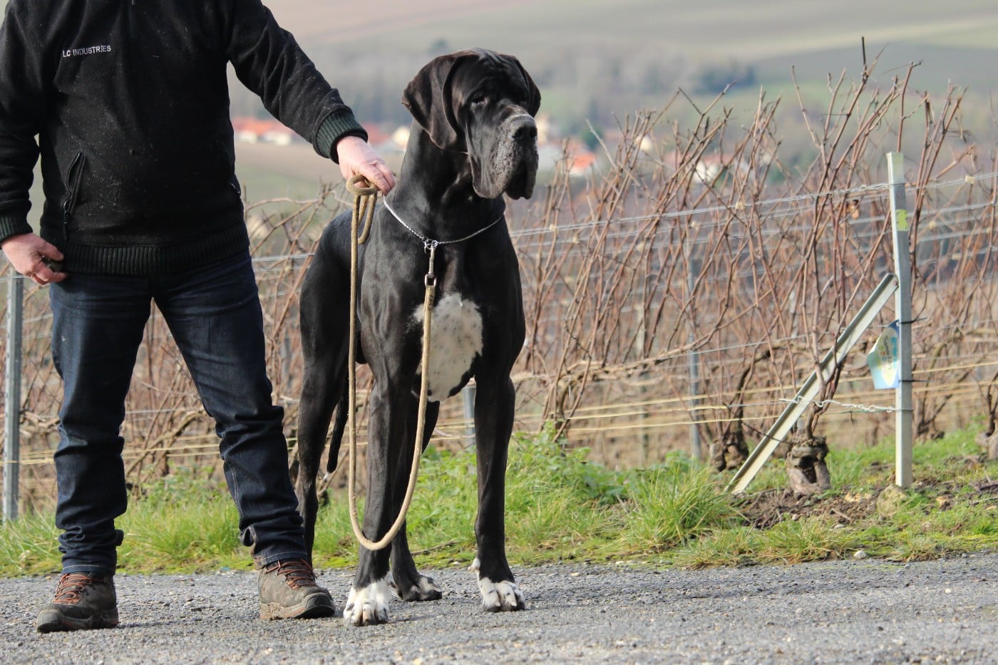 Publication : DE VALAVERGNY Auteur : Barbara Lebegue