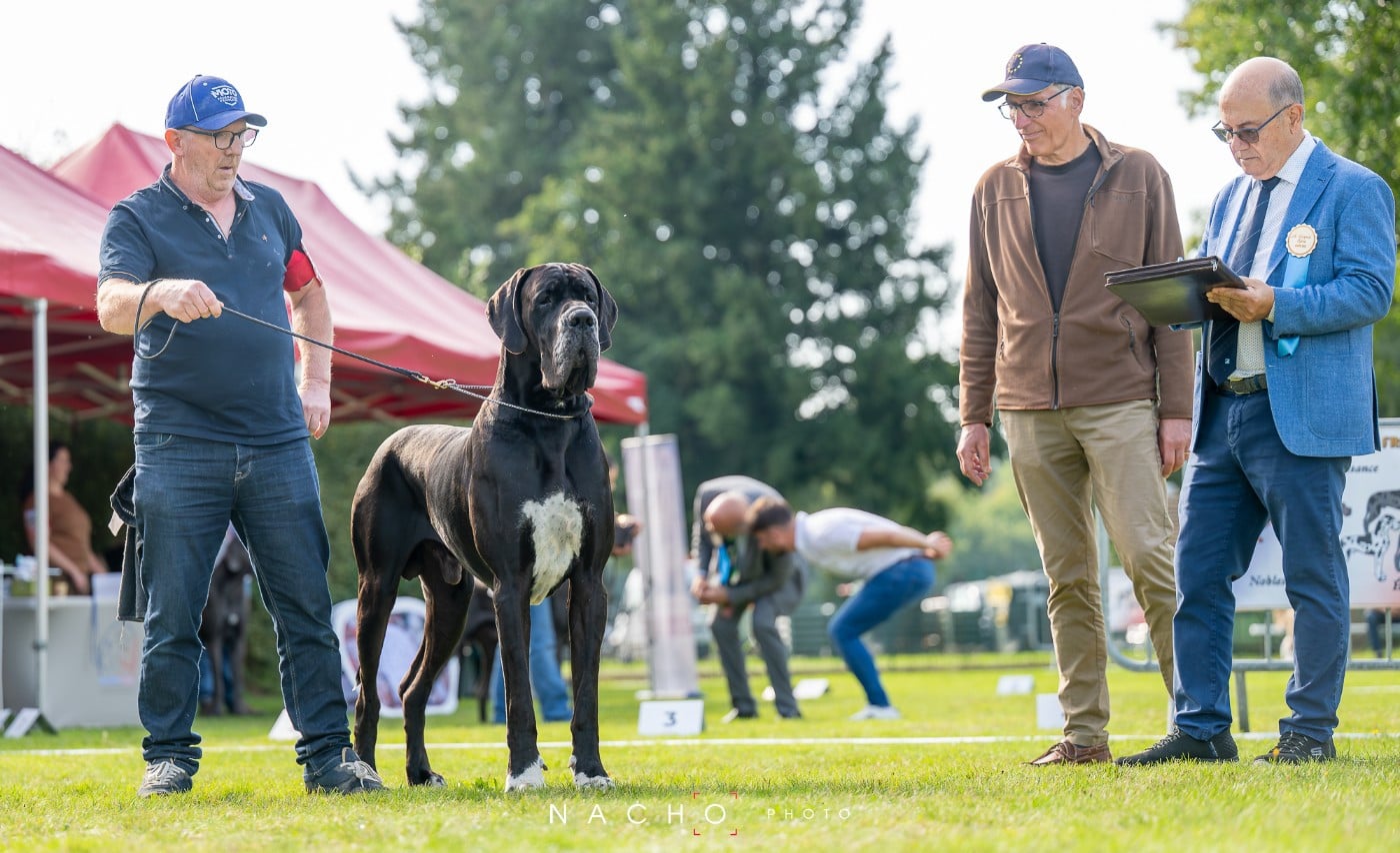Publication : DE VALAVERGNY Auteur : Barbara Lebegue