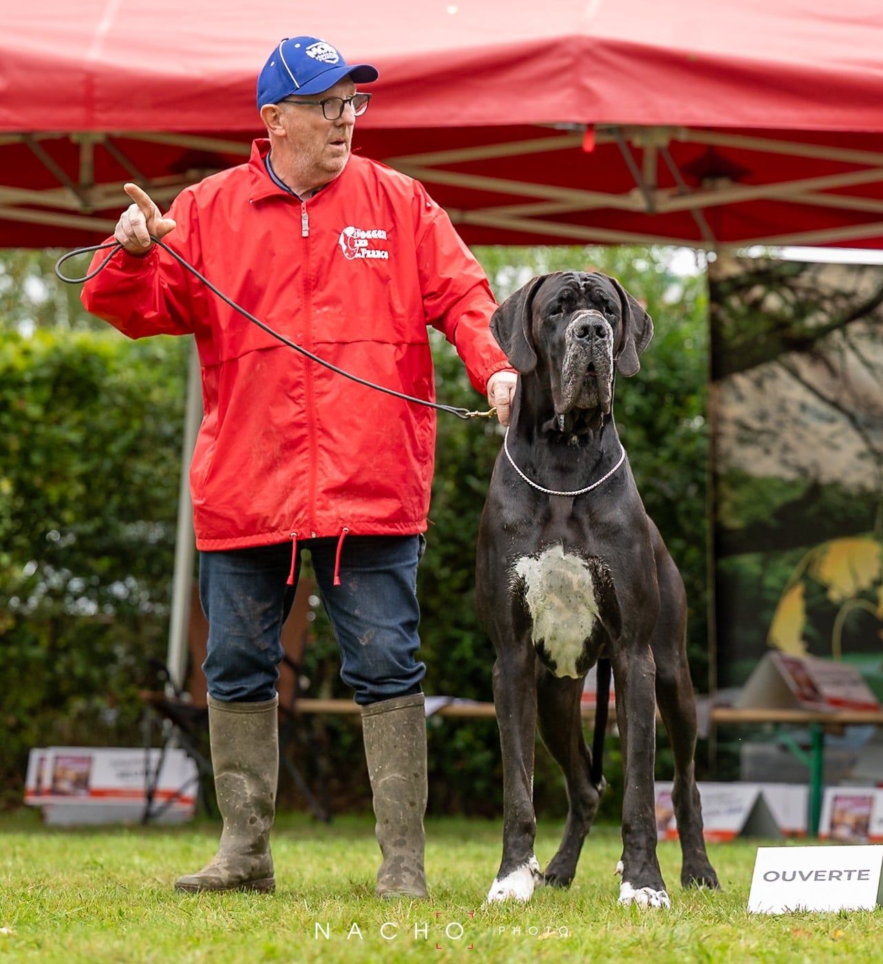 Publication : DE VALAVERGNY Auteur : Barbara Lebegue