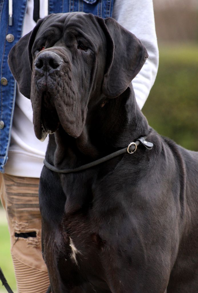 Publication : Des Iles Aux Falaises