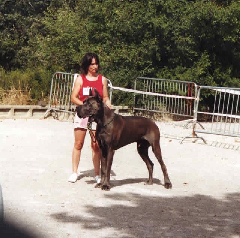 Publication : Des terres royales