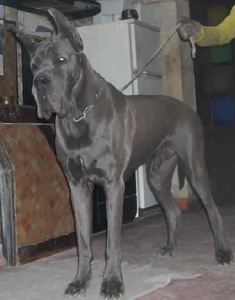 Publication : Des terres royales