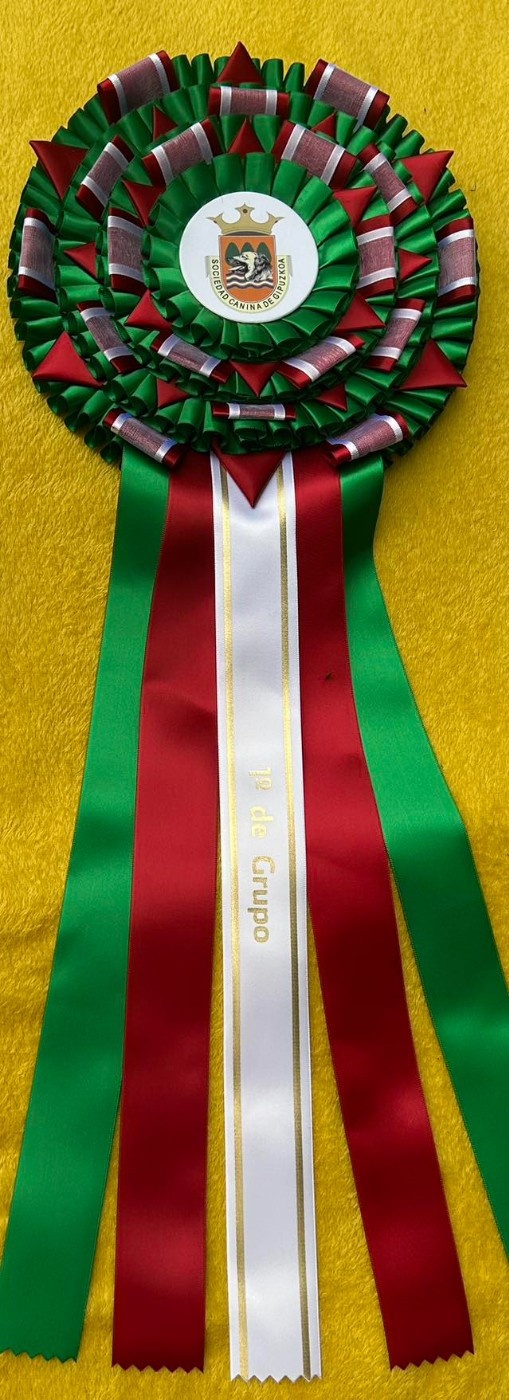 CH. Vivaldi 4 saisons des Joyaux d'herneith - 1er Exc CAC CACIB BOS