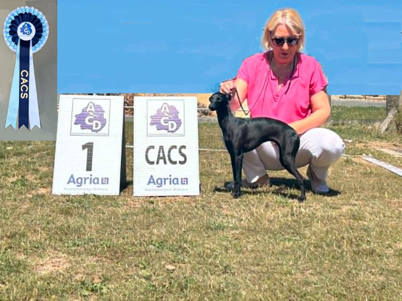 CH. Valse 2 vienne des Joyaux d'herneith - 1er Exc CACS BOS