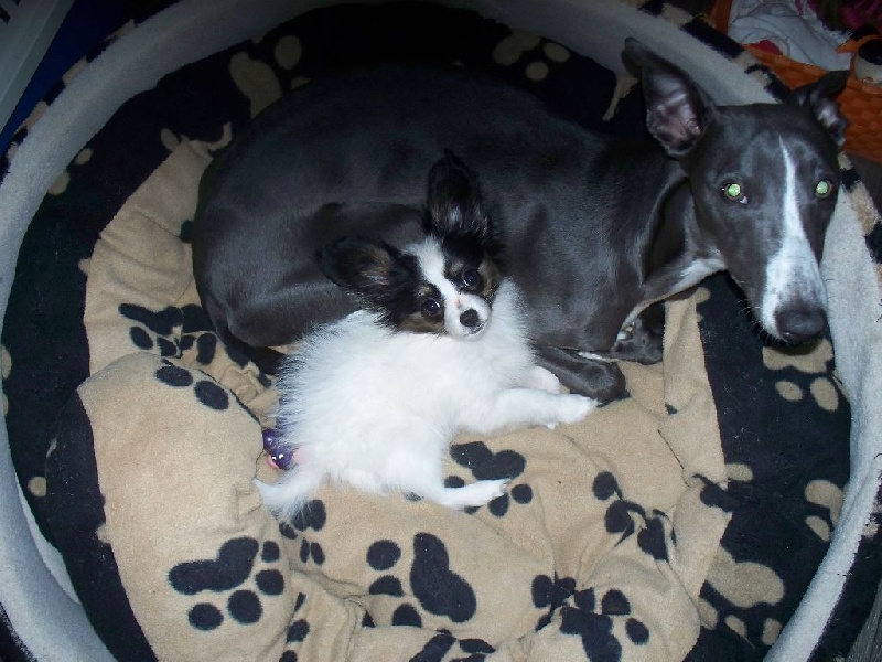 Publication : Du Domaine De Hunaudaye Auteur : Ledewyn Liliane