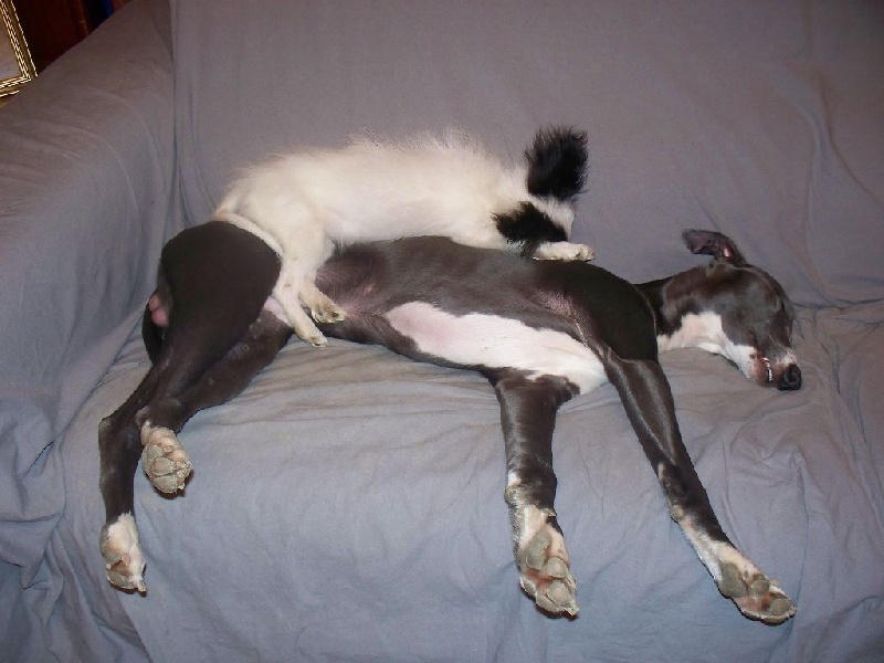 Publication : Du Domaine De Hunaudaye Auteur : Ledewyn Liliane