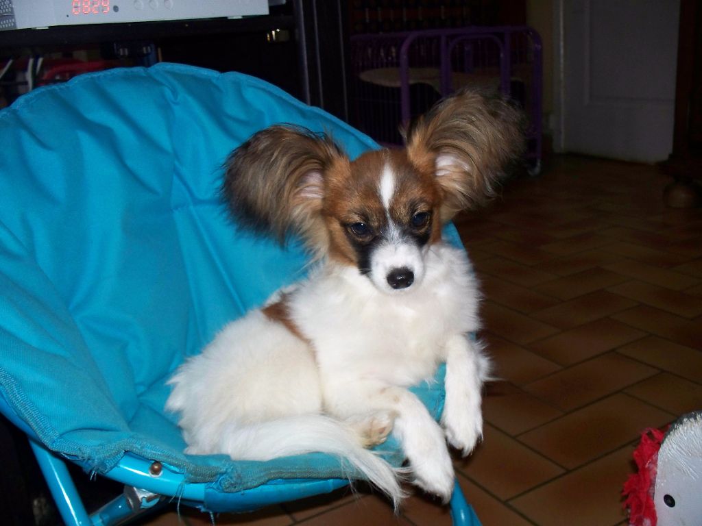 Publication : Du Domaine De Hunaudaye Auteur : Ledewyn Liliane