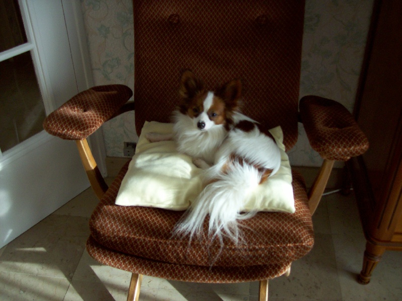 Publication : Du Domaine De Hunaudaye