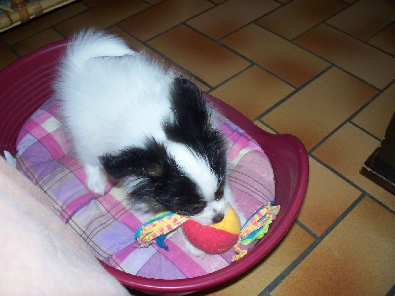 Publication : Du Domaine De Hunaudaye Auteur : Ledewyn Liliane