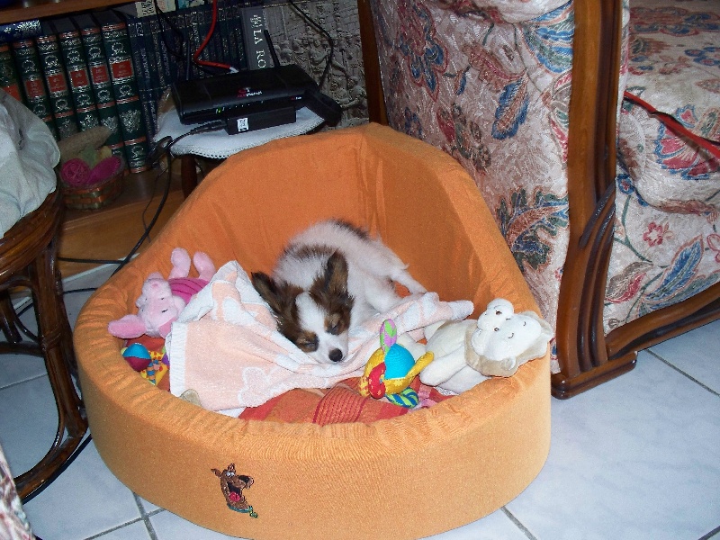 Publication : Du Domaine De Hunaudaye