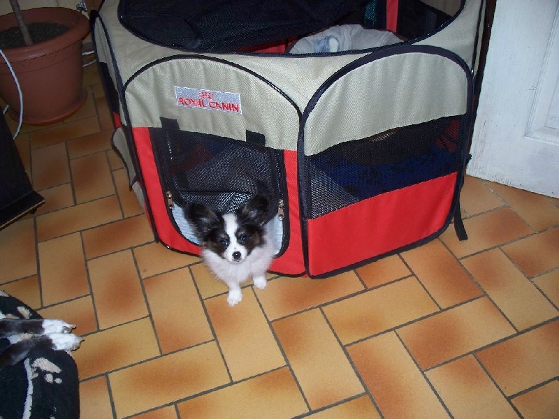 Publication : Du Domaine De Hunaudaye Auteur : Ledewyn Liliane